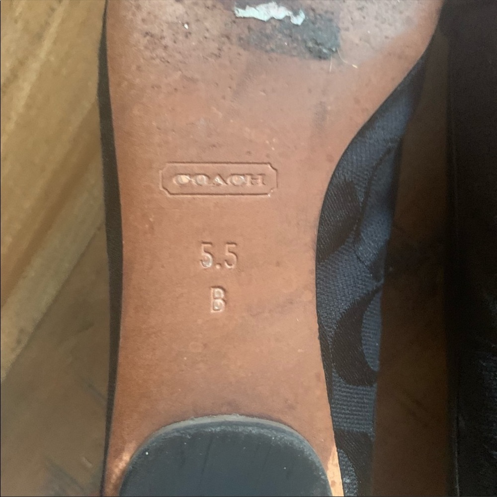 Coach - Picture 5 of 6